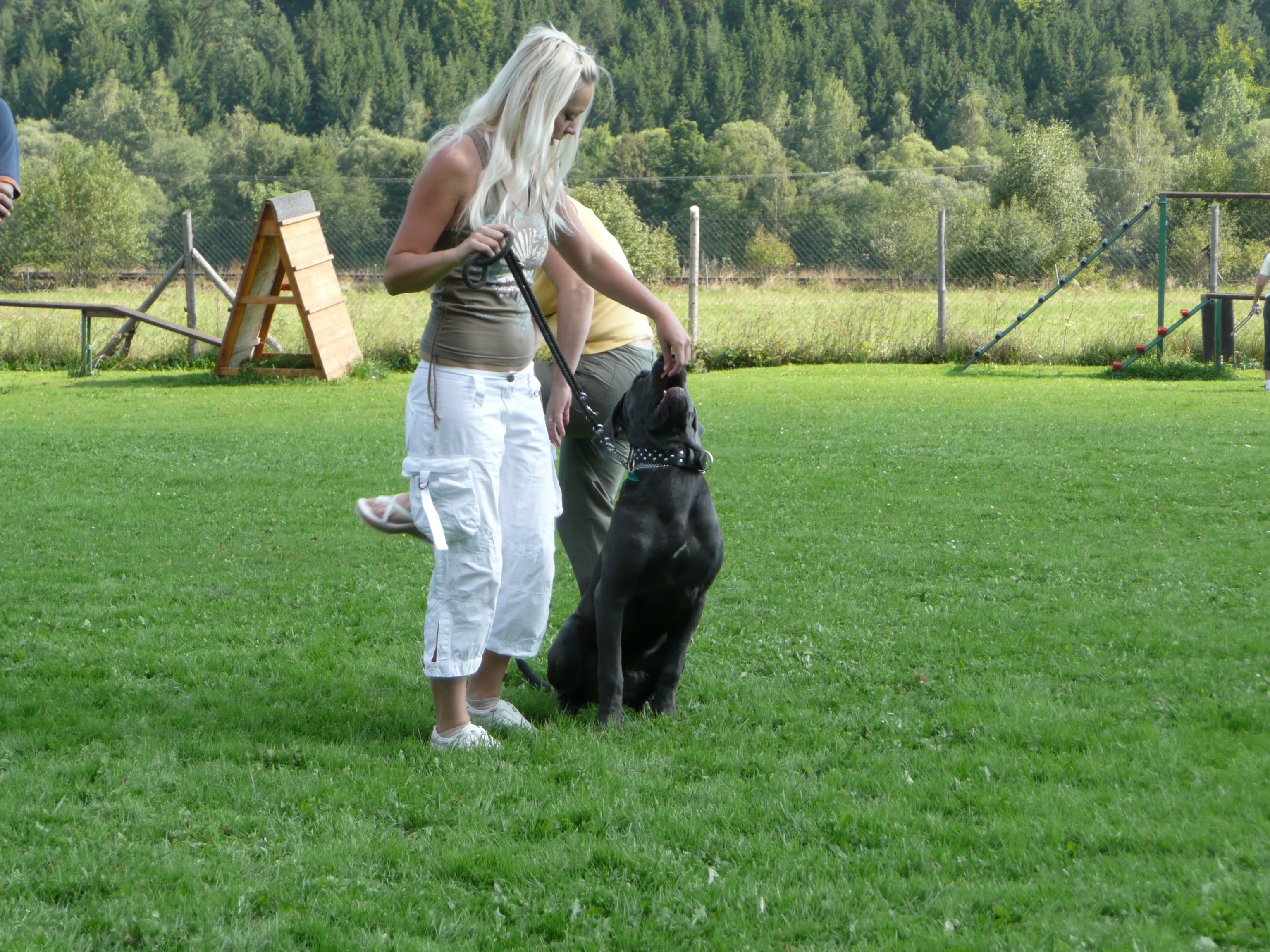 Snímek 013.jpg